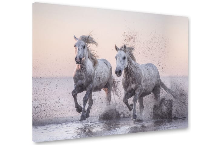 Taulu Horses 75x100 cm - Monivärinen - Sisustustuotteet - Taulu & taide - Canvas-taulu