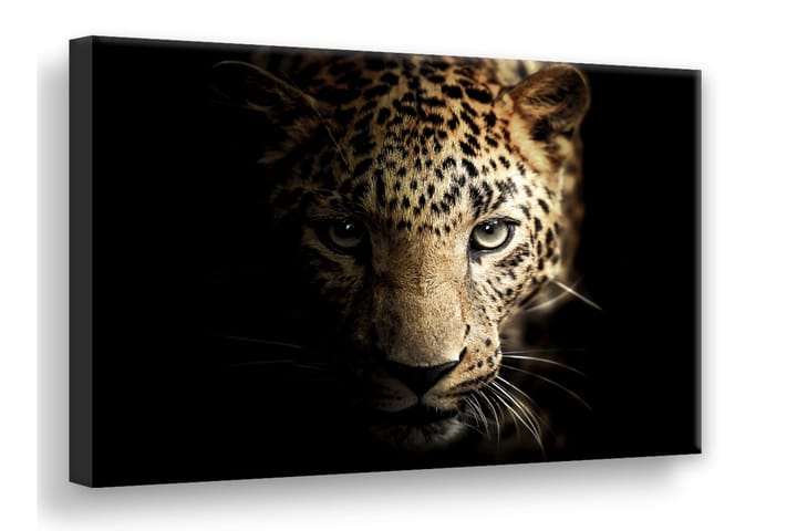 Taulu Leopard Digiprintattu Canvas - 75x100 cm - Sisustustuotteet - Taulut & taide