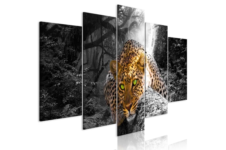 Taulu Leopard Lying 5 Parts Wide Grey 100x50 - Artgeist sp. z o. o. - Sisustustuotteet - Taulu & taide - Canvas-taulu