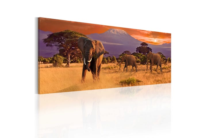 Taulu March Of African Elephants 120x40 - Saatavana usean kokoisena - Sisustustuotteet - Taulut & taide - Canvas-taulut