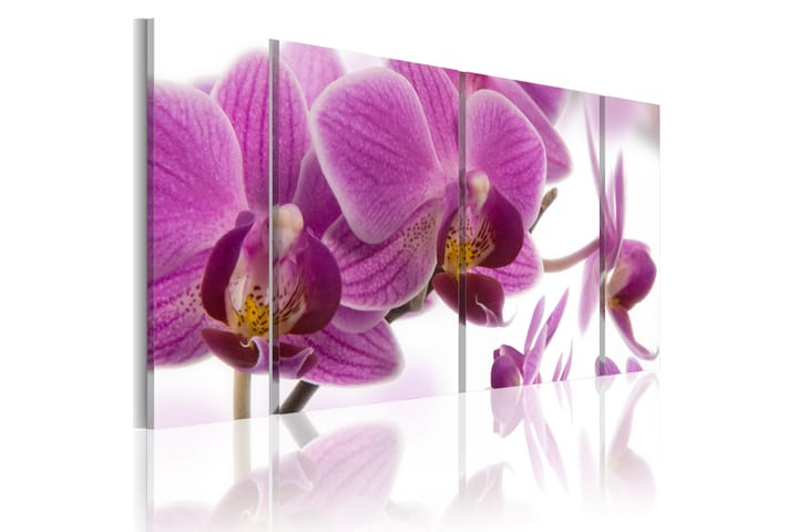 Taulu Marvelous Orchid 120x60 - Artgeist sp. z o. o. - Sisustustuotteet - Taulu & taide - Canvas-taulu