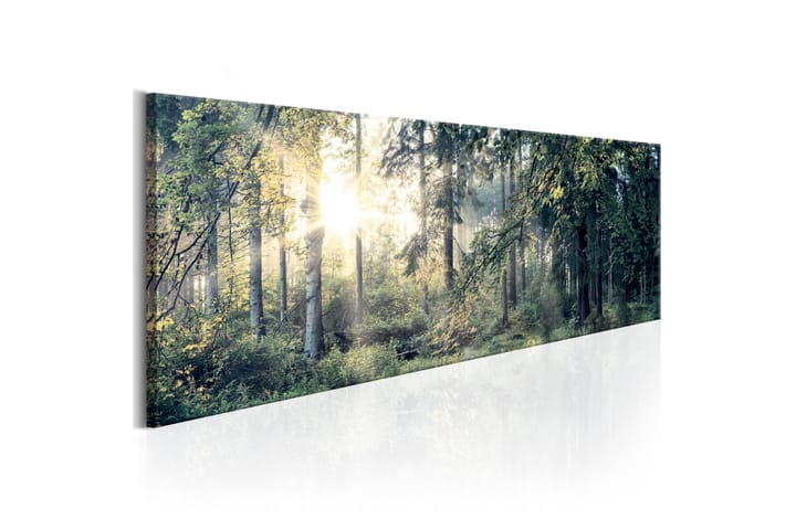 Taulu Morning Magic 150x50 - Sisustustuotteet - Taulut & taide - Canvas-taulut
