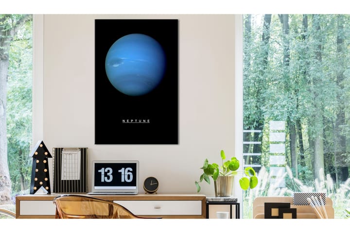 Taulu Neptune (1 Part) Vertical 40x60 - Artgeist sp. z o. o. - Sisustustuotteet - Taulu & taide - Canvas-taulu