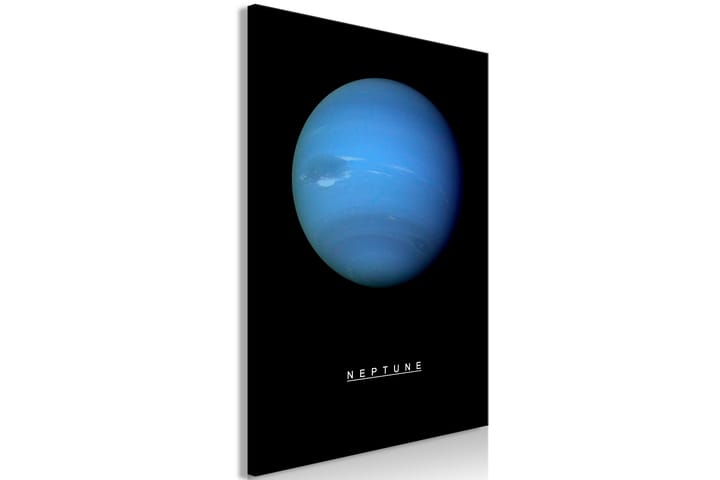Taulu Neptune (1 Part) Vertical 40x60 - Artgeist sp. z o. o. - Sisustustuotteet - Taulu & taide - Canvas-taulu