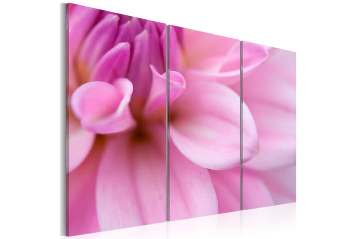 Taulu Pink Dahlia 60x40 - Artgeist sp. z o. o. - Sisustustuotteet - Taulu & taide - Canvas-taulu
