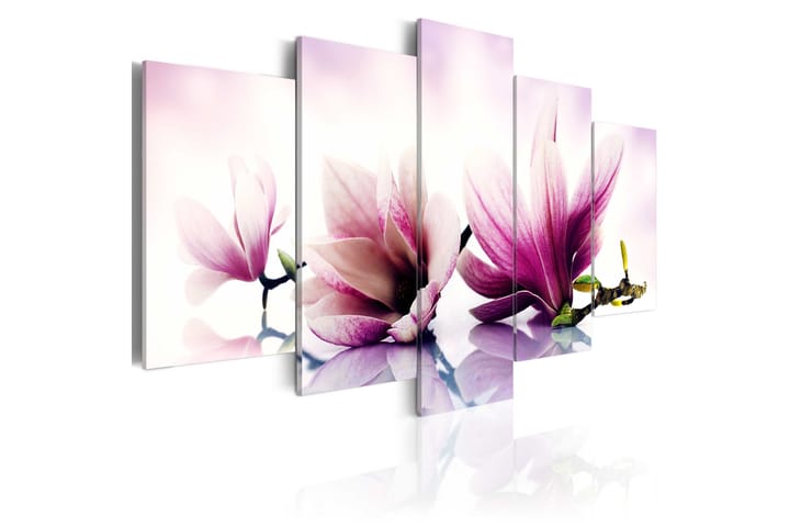 Taulu Pink Flowers Magnolias 100x50 - Artgeist sp. z o. o. - Sisustustuotteet - Taulu & taide - Canvas-taulu