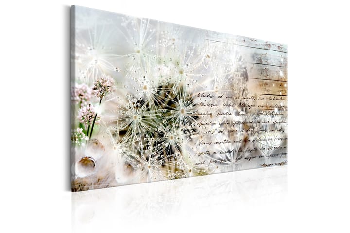 Taulu Starry Dandelions 90x60 - Artgeist sp. z o. o. - Sisustustuotteet - Taulut & taide - Canvas-taulut