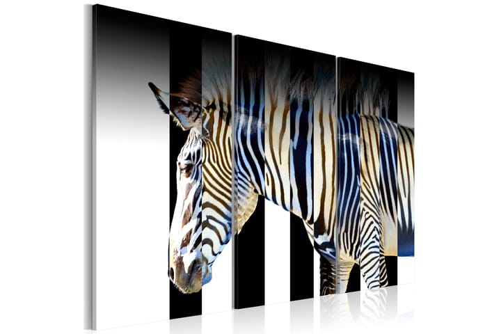 Taulu Stripes 120x80 - Artgeist sp. z o. o. - Sisustustuotteet - Taulut & taide - Canvas-taulut