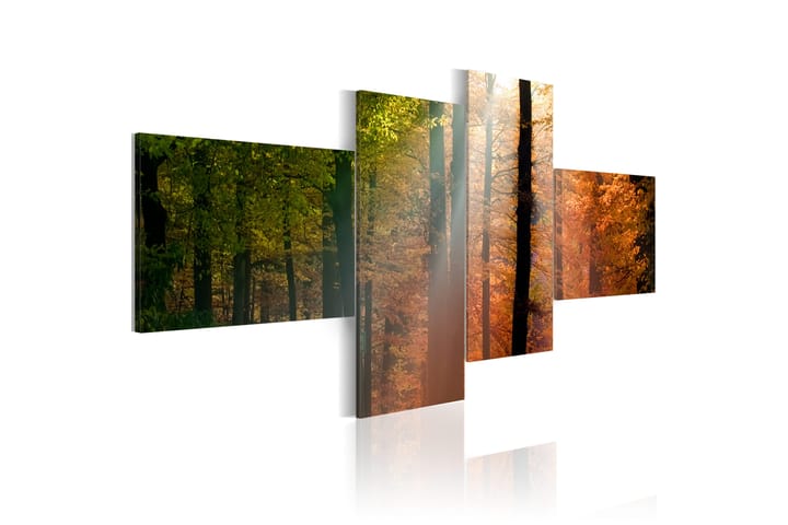 Taulu Sunrays Between Trees 100x45 - Artgeist sp. z o. o. - Sisustustuotteet - Taulu & taide - Canvas-taulu
