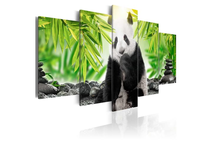 Taulu Sweet Little Panda 100x50 - Artgeist sp. z o. o. - Sisustustuotteet - Taulut & taide - Canvas-taulut