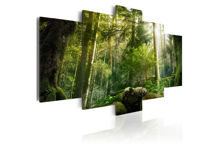 Taulu The Beauty Of The Forest 100x50 - Artgeist sp. z o. o. - Sisustustuotteet - Taulu & taide - Canvas-taulu
