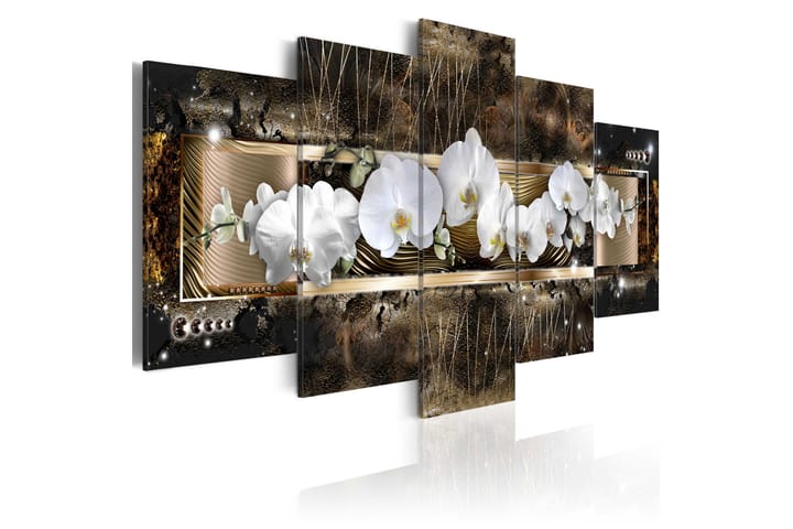 Taulu The Dream Of A Orchids 200x100 - Artgeist sp. z o. o. - Sisustustuotteet - Taulut & taide - Canvas-taulut