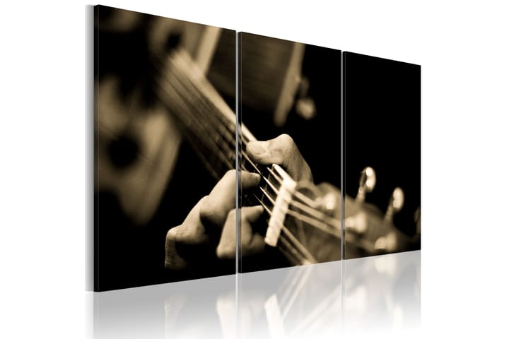 Taulu The Magic Sound Of A Guitar 120x80 - Artgeist sp. z o. o. - Sisustustuotteet - Taulut & taide - Canvas-taulut