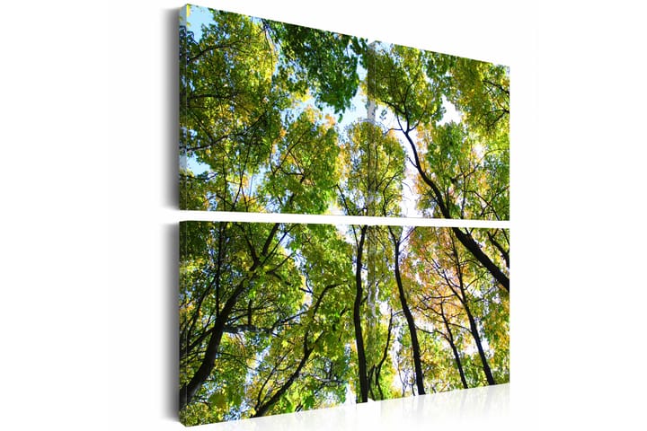 Taulu Treetops 40x40 - Artgeist sp. z o. o. - Sisustustuotteet - Taulu & taide - Canvas-taulu