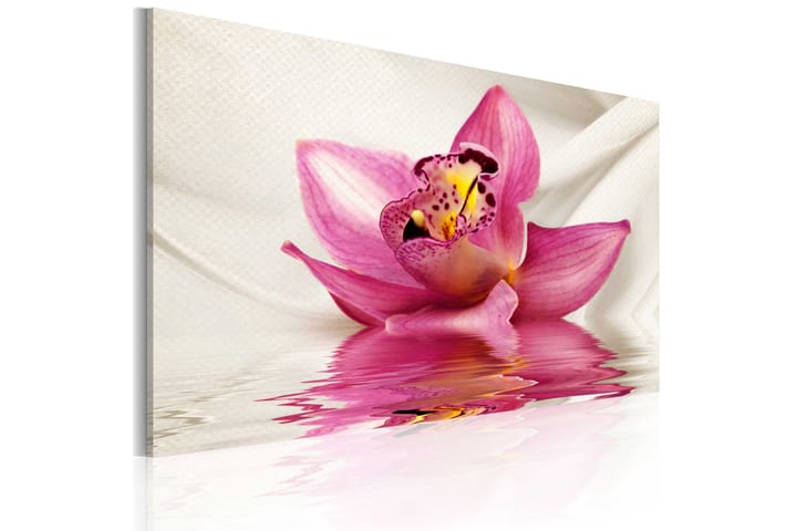 Taulu Unusual Orchid 60x40 - Artgeist sp. z o. o. - Sisustustuotteet - Taulu & taide - Canvas-taulu