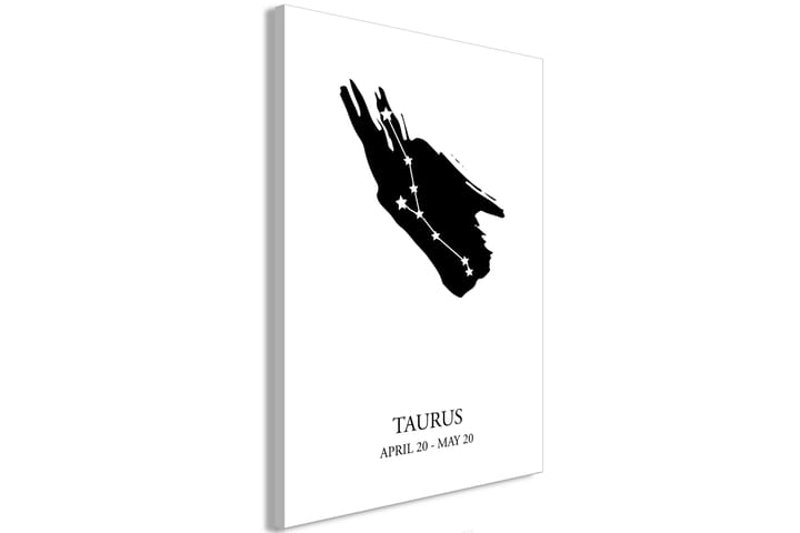 Taulu Zodiac Signs: Taurus (1 Part) Vertical 60x90 - Artgeist sp. z o. o. - Sisustustuotteet - Taulu & taide - Canvas-taulu