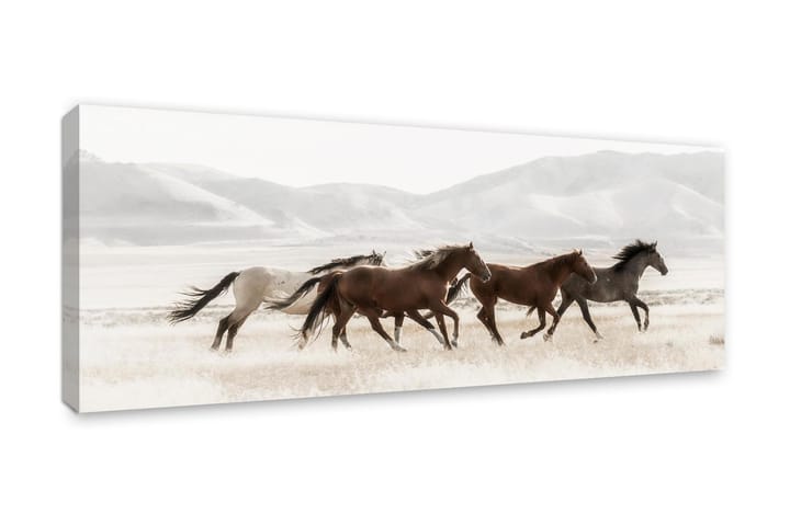 Taulu/Canvas Mustanger - 60x150 - Sisustustuotteet - Taulu & taide - Canvas-taulu