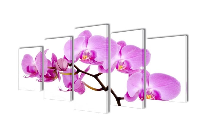 Taulusarja Orkidea 200 x 100 cm - Monivärinen - Sisustustuotteet - Taulut & taide - Canvas-taulut