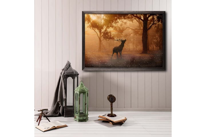 Deer At Dawn Kuva Orange/Ruskea - 70x50 cm - Sisustustuotteet - Taulu & taide - Juliste - Eläin juliste