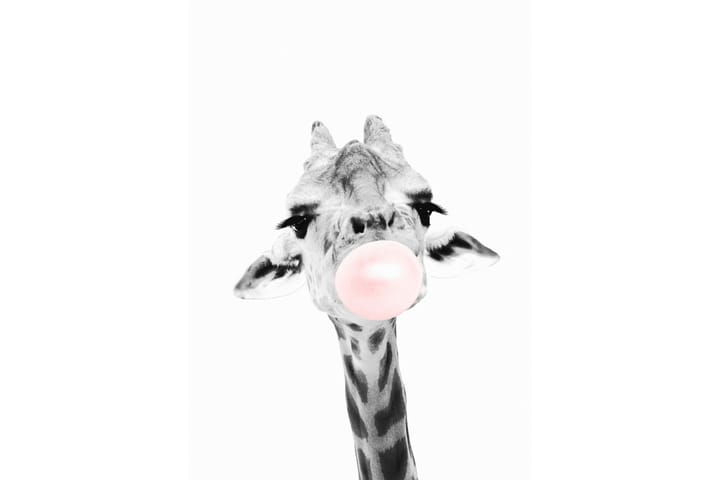 Giraffe Pink Bubblegum Kuvitius Valkoinen/Harmaa/ Vaaleanpun - 50x70 cm - Sisustustuotteet - Taulu & taide - Juliste - Piirros juliste