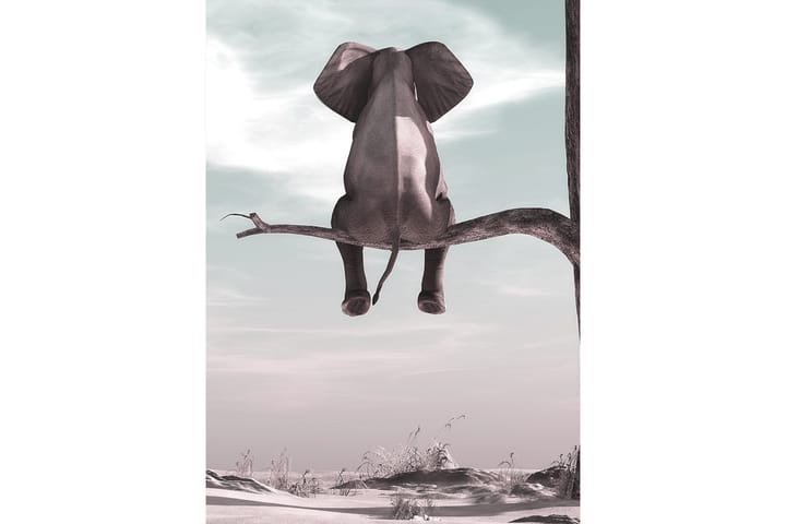 Juliste Elephant 50x70 cm - Monivärinen - Sisustustuotteet - Taulu & taide - Canvas-taulu