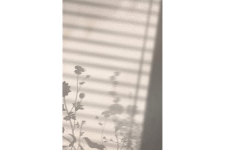 Juliste Flower shadow 50x70 cm - Valkoinen - Sisustustuotteet - Taulu & taide - Juliste