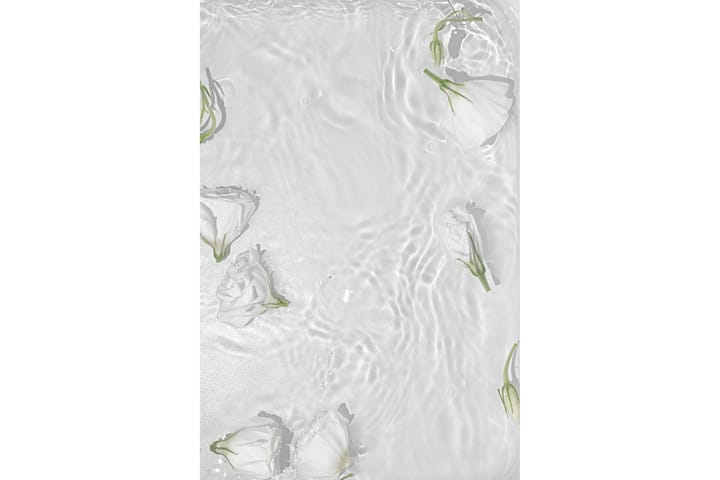 Juliste White roses 50x70 cm - Valkoinen - Sisustustuotteet - Taulu & taide - Juliste