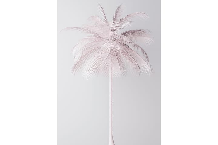 Palmtree Kuva Vaaleanpunainen/Valkoinen - 50x70 cm - Sisustustuotteet - Taulu & taide - Juliste - Kasvi juliste