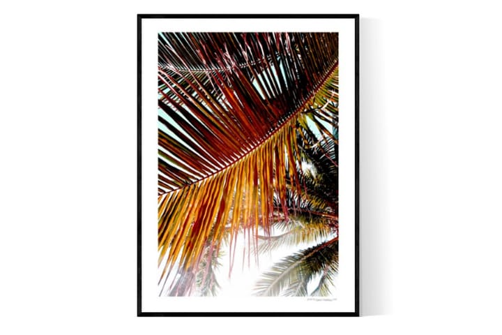 Sunrise Palm Trees Kuva Orange/Vihreä - 30x40 cm - Sisustustuotteet - Taulu & taide - Juliste