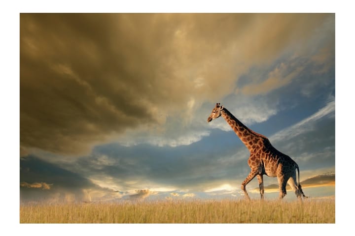 Akryylitaulu Giraffe Glas - 80x120 cm - Sisustustuotteet - Taulut & taide - Canvas-taulut