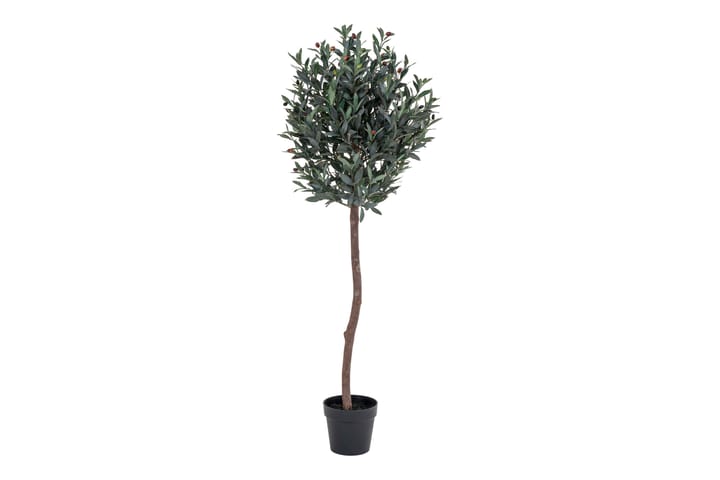 Keinotekoinen kasvi Boykins 58 cm Oliivipuu - Vihreä - Sisustustuotteet - Tekokasvit