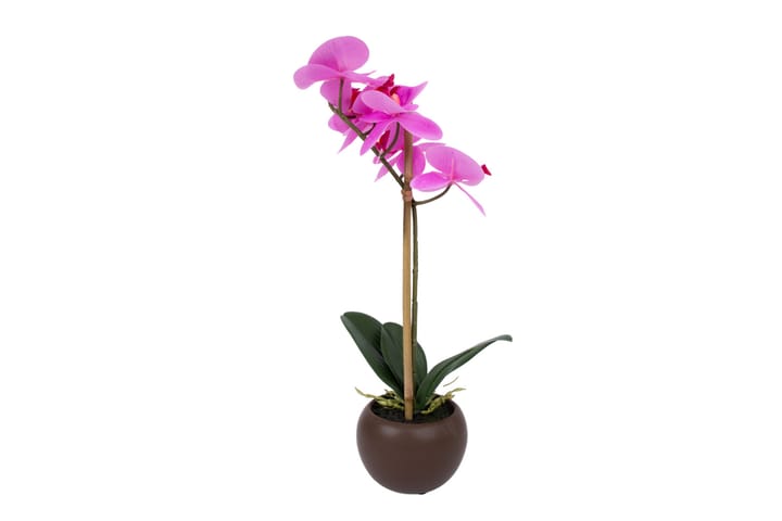 Lila Orkidea 46  cm Mustassa Ruukussa - Sisustustuotteet - Tekokasvit