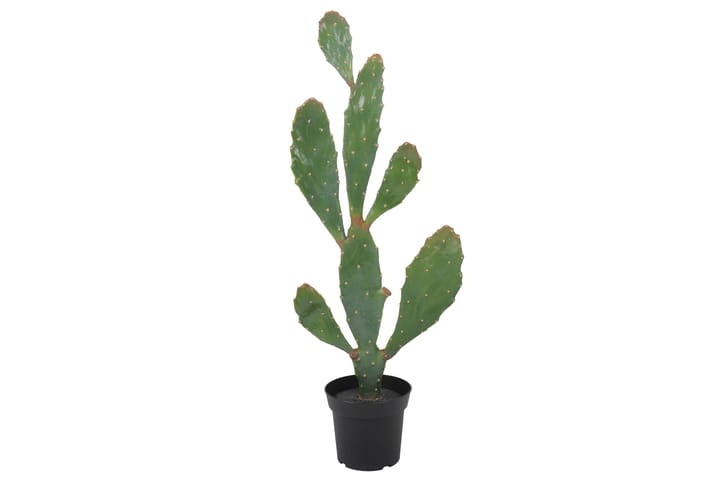 Tekokasvi Moganas Cactus - Vihreä - Sisustustuotteet - Tekokasvit