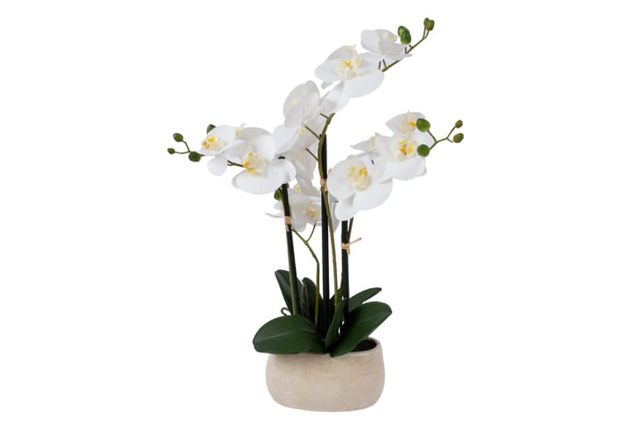 Tekokukka Orkidea In Garden Valkoinen - Sisustustuotteet - Tekokasvit
