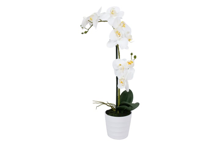 Valkoinen Orkidea 51 cm Valkoisessa Ruukussa - Sisustustuotteet - Tekokasvit