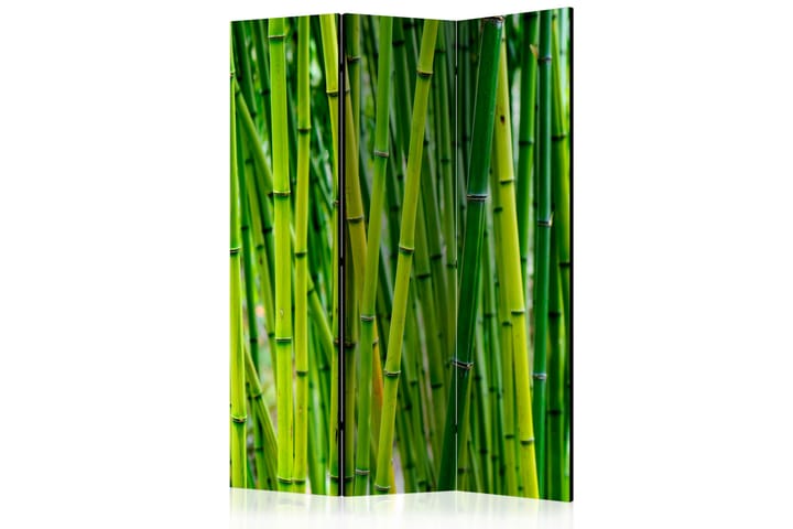Tilanjakaja Bamboo Forest 135x172 - Artgeist sp. z o. o. - Sisustustuotteet - Tilanjakajat & sermit