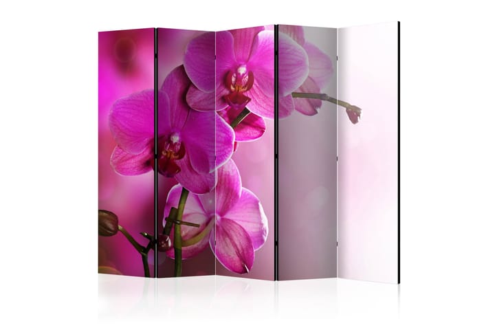 Tilanjakaja Pink orchid II 225x172 - Artgeist sp. z o. o. - Sisustustuotteet - Tilanjakajat & sermit