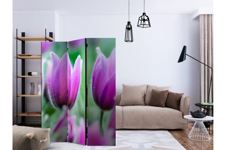 Tilanjakaja Purple Spring Tulips - Artgeist sp. z o. o. - Sisustustuotteet - Tilanjakaja & sermi