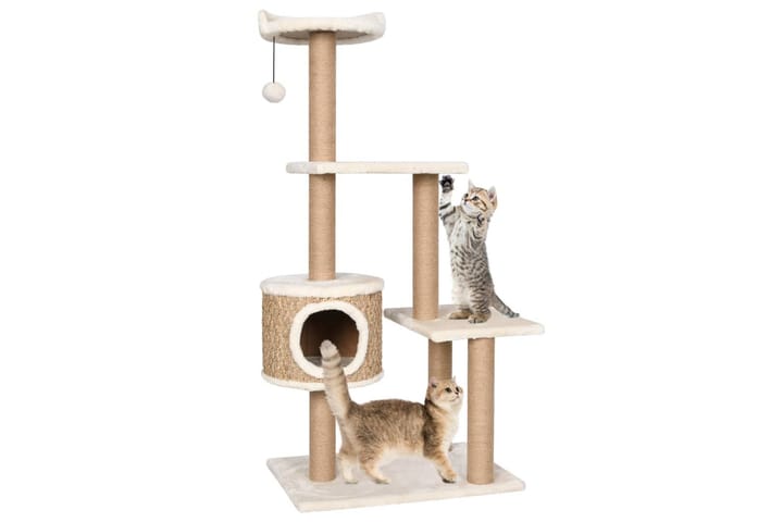 Kissan kiipeilypuu raapimispylväällä 123 cm meriheinä - Beige - Urheilu & vapaa-aika - Eläimille - Kissa - Kissojen kalusteet
