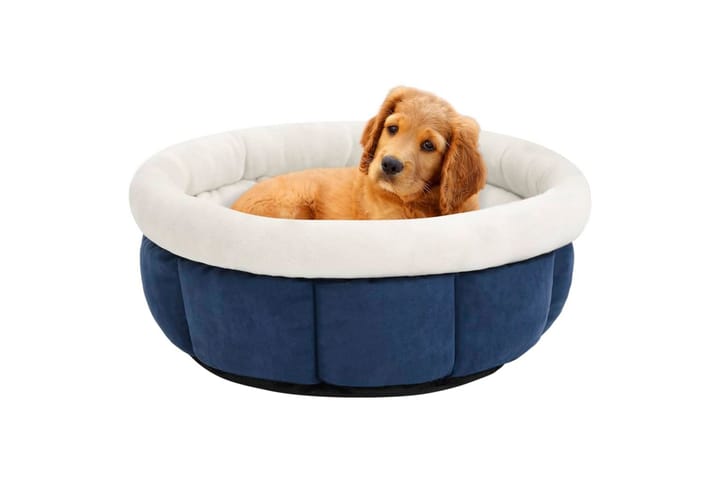 Koiran sänky 40x40x20 cm sininen - Sininen - Urheilu & vapaa-aika - Eläimille - Koira - Koirien kalusteet
