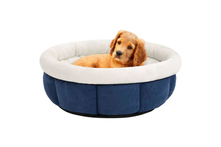Koiran sänky 50x50x22 cm sininen - Sininen - Urheilu & vapaa-aika - Eläimille - Koira - Koirien kalusteet