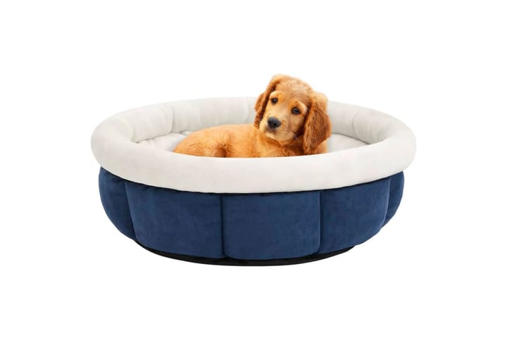 Koiran sänky 59x59x24 cm sininen - Sininen - Urheilu & vapaa-aika - Eläimille - Koira - Koirien kalusteet