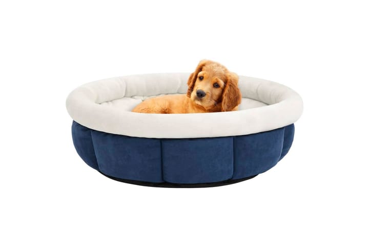 Koiran sänky 70x70x26 cm sininen - Sininen - Urheilu & vapaa-aika - Eläimille - Koira - Koirien kalusteet