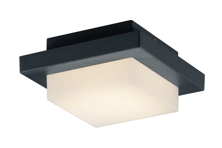 LED-Katto/Seinävalaisin Hondo 3,5W Musta - TRIO - Valaistus - Sisävalaistus & lamput - Kattovalaisin