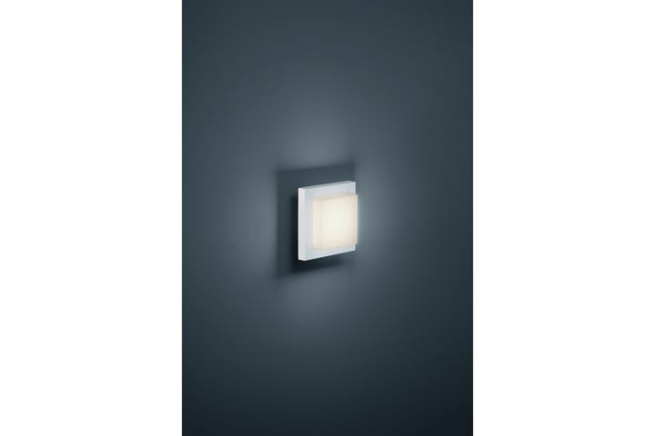 LED-Katto/Seinävalaisin Hondo 3,5W Valkoinen - TRIO - Valaistus - Sisävalaistus & lamput - Seinävalaisimet - Seinävalaisin