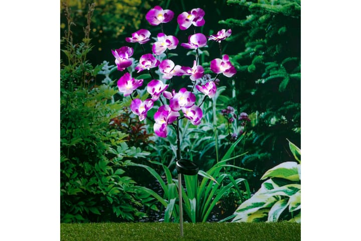 HI Aurinkoenergialla toimiva puutarhan LED orkidea valaisin - Purppura - Valaistus - Ulkovalaistus - Aurinkokennovalaistus